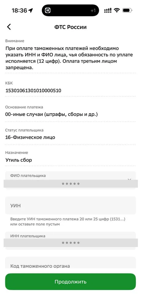 Поля «ФИО плательщика» и «ИНН плательщика» (данные скрыты как персональные)