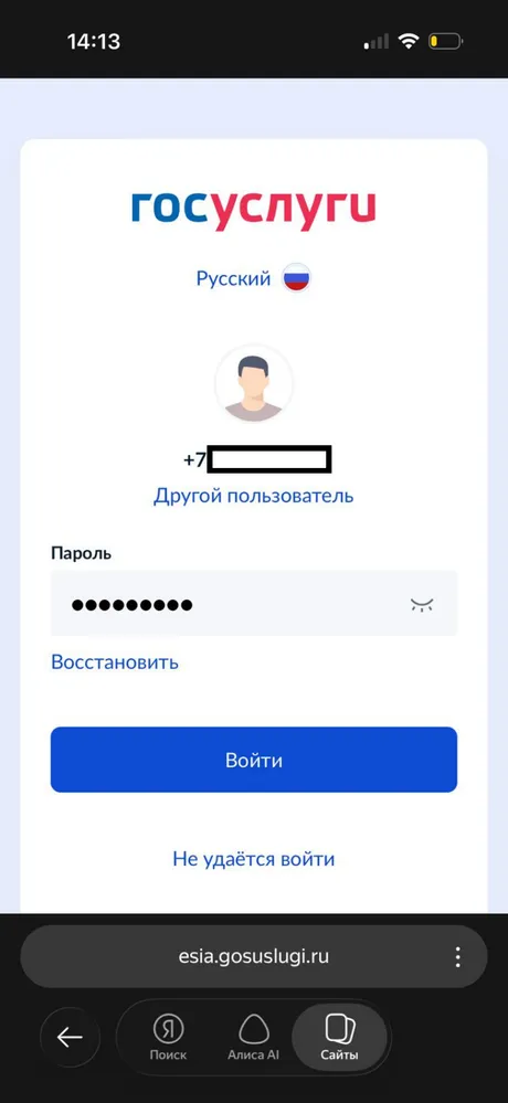 Ввод пароля на странице Госуслуг