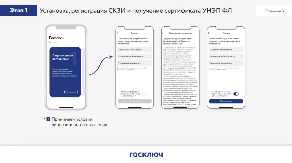 Принятие условий лицензионного соглашения Госключ