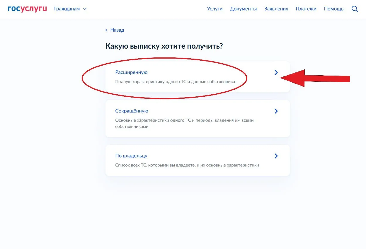 Выбор вида выписки «Расширенную» — полная характеристика ТС и данные собственника