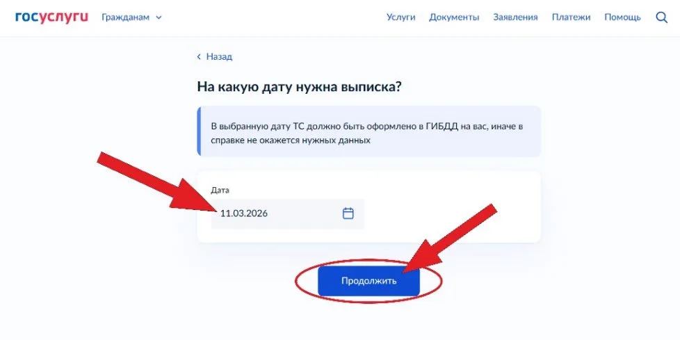 Указание даты, на которую нужна выписка, и кнопка «Продолжить»