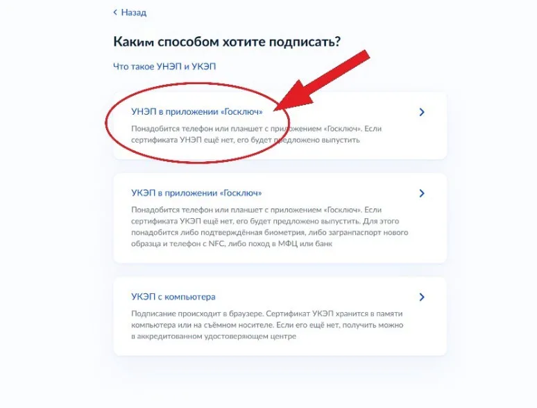 Выбор способа подписания заявления — «УНЭП в приложении Госключ»